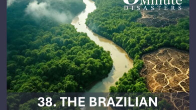 Episode 38 - The Brazilian Amazon Deforestation Crisis
